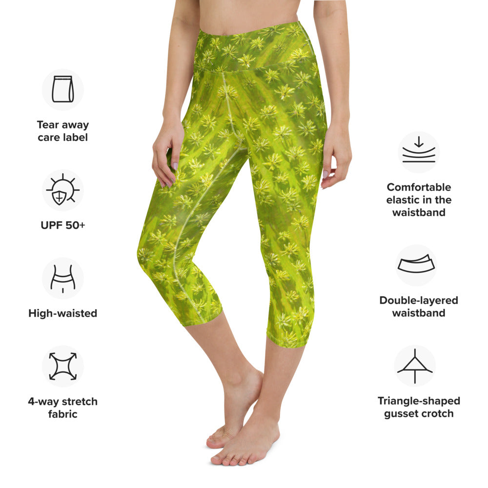 Leggings & womens activewear for fitness, yoga, gym, running in coconut palm design on sale now