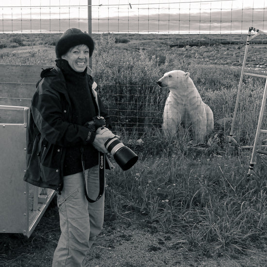 Fiona Harper photographing polar bears in the Canadian Arctice
