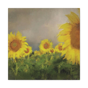 Canvas (stretch) - Sunflowers