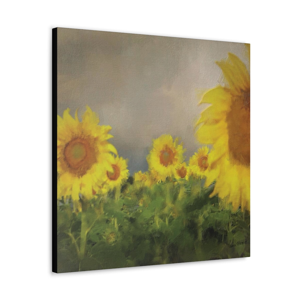 Canvas (stretch) - Sunflowers