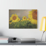 Canvas (stretch) - Sunflowers