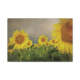 Canvas (stretch) - Sunflowers