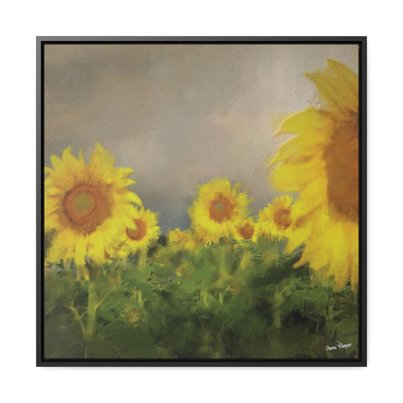 Canvas (box frame) - Sunflowers