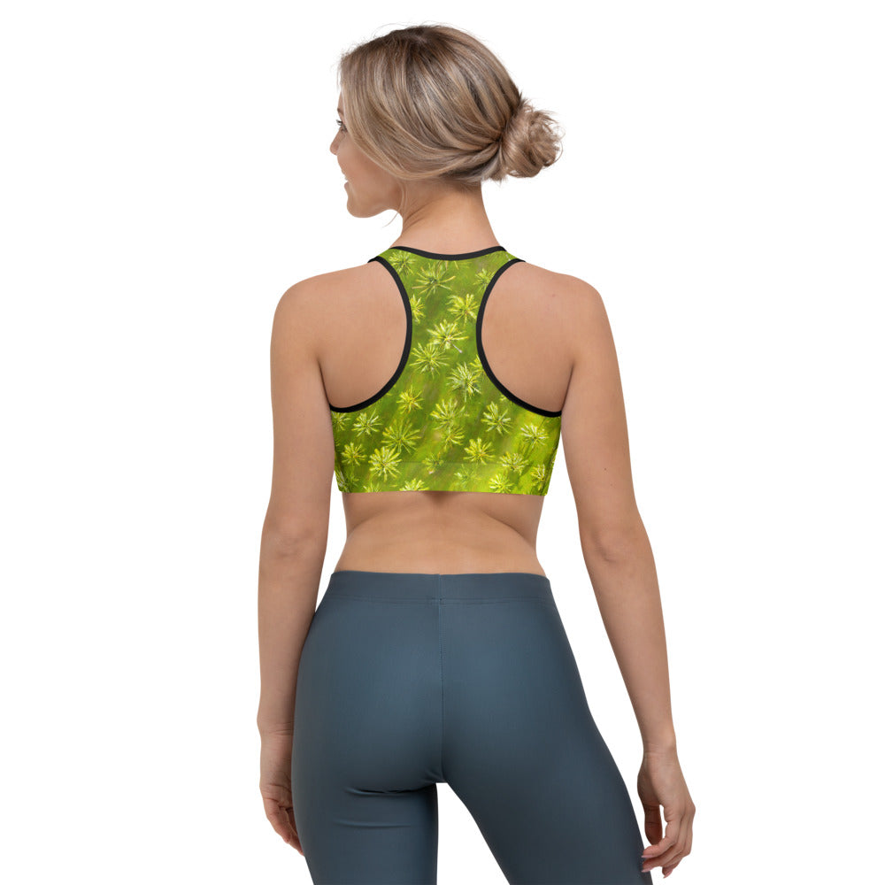Sports bra crop top for running, walking, gym and yoga in tropical palm tree design