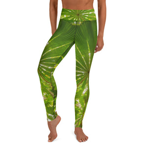 Leggings & womens activewear for fitness, yoga, gym, running in coconut palm design on sale now