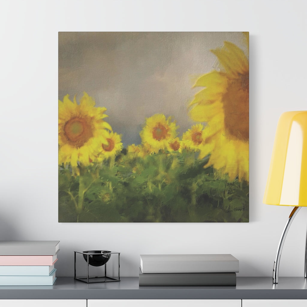 Canvas (stretch) - Sunflowers