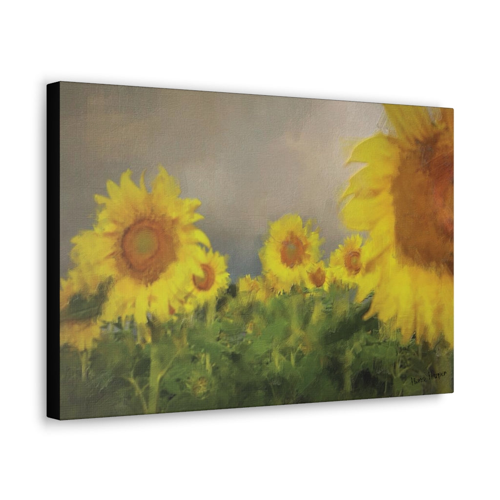 Canvas (stretch) - Sunflowers